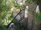 DSCF9650.webp