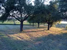 IMG_1202.webp