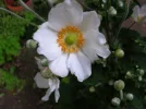 dscn2662.webp