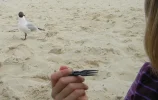 DSCN5277.webp