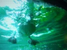 DSCN5310.webp