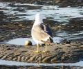 DSCN5377.webp