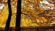 20151024_125327 (2).webp