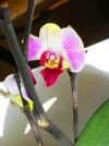 DSCN1659.webp