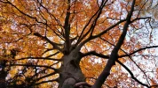 20151031_120312.webp