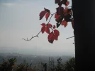 DSCF5978.webp