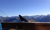 20151101_132710.webp