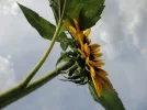 DSC08301.webp