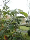 DSC09020.webp
