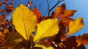 20151108_124535[1].webp