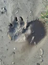20151108_123624.webp