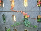DSCF7771.webp