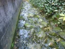 A0057Res.webp