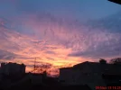 DSC00309.webp