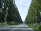 Insb2.webp