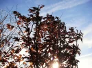 DSCF7840.webp