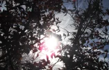 DSCF7842.webp