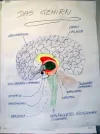 mentaltraining_coachingyou.webp