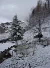 P1010299.webp