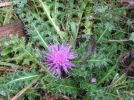 IMG_1765.webp