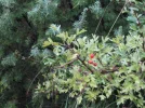 IMG_1766.webp