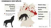 bundesamtwolf.webp