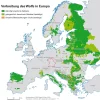 wolfspopulation_europa.webp