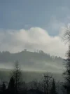 P1010303.webp