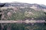 4Forum.webp