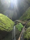 CIMG3442.webp