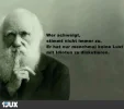 145585_b.webp