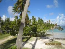 DomRep2013 007.webp