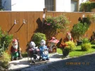 IMG_0011.webp
