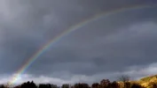 Rainbow4Forum.webp