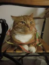 DSCN0070.webp