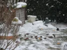 DSCN0224.webp