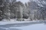 30.01.2010 198.webp