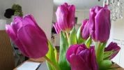 20160120_143847.webp