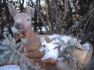 DSCN0288.webp