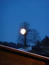 P1010337.webp