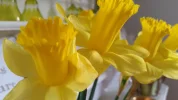 20160126_123158[1].webp