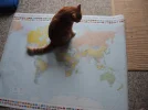 DSCN0356.webp