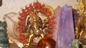 DSCN4483.webp