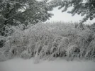 104_0406.webp