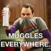 Muggels Everywhere.webp