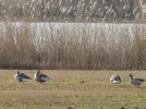 DSCN0464.webp