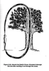 baummed.webp