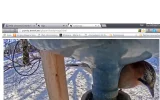 vogel1.webp