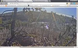 natur.webp
