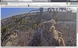 adler11.webp